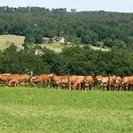 Appartamento Aux Vieux Bois *