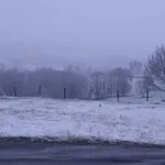Aux Vieux Bois *