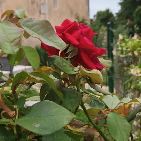 Aux Vieux Bois Lunas (Dordogne)