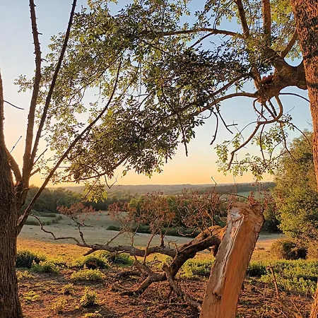 Aux Vieux Bois